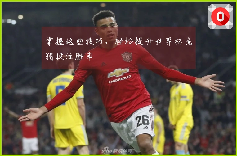 掌握这些技巧，轻松提升世界杯竞猜投注胜率