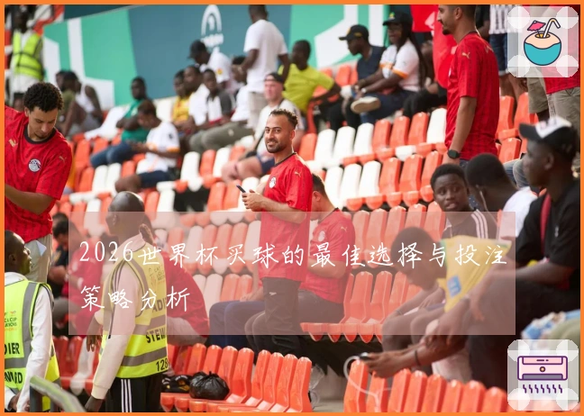 2026世界杯买球的最佳选择与投注策略分析