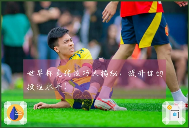 世界杯竞猜技巧大揭秘，提升你的投注水平！