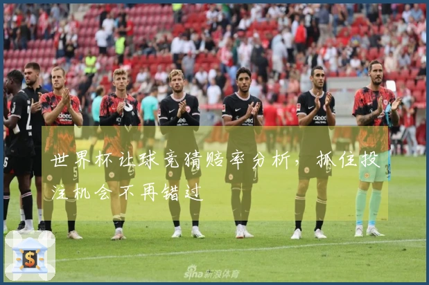 世界杯让球竞猜赔率分析，抓住投注机会不再错过